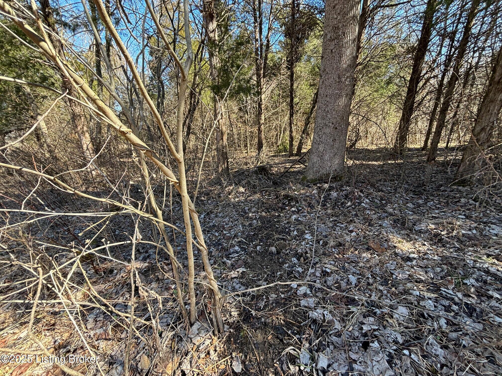 2701 Hardesty Raymond Rd, Webster, Kentucky image 35