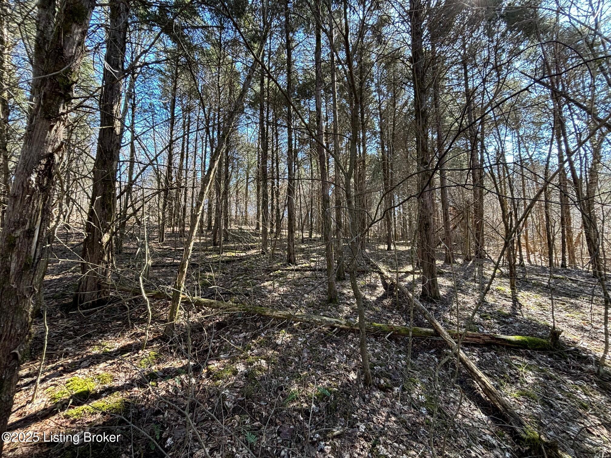 2701 Hardesty Raymond Rd, Webster, Kentucky image 33