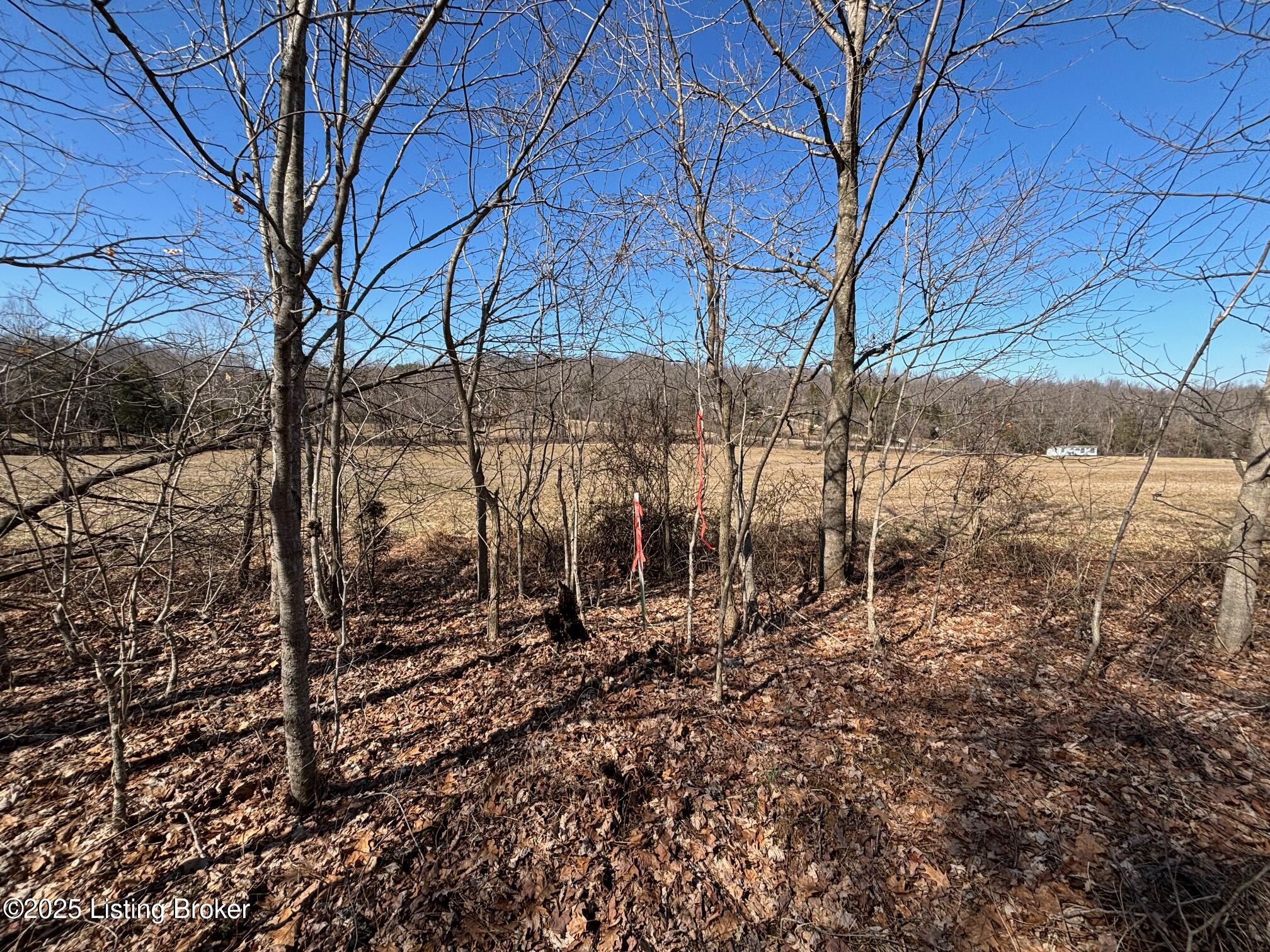 2701 Hardesty Raymond Rd, Webster, Kentucky image 26