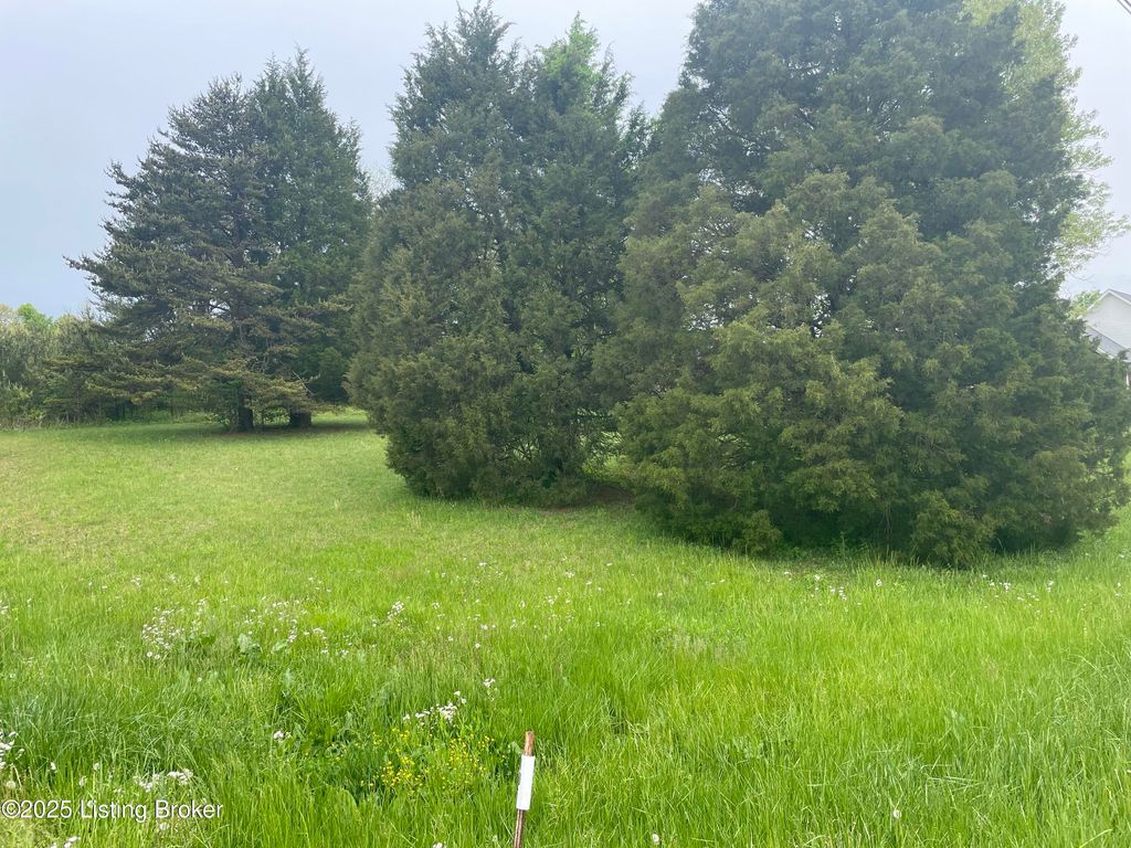 Photo of 205 River Cliff Blvd, Brandenburg, KY 40108 (MLS # 1705365)
