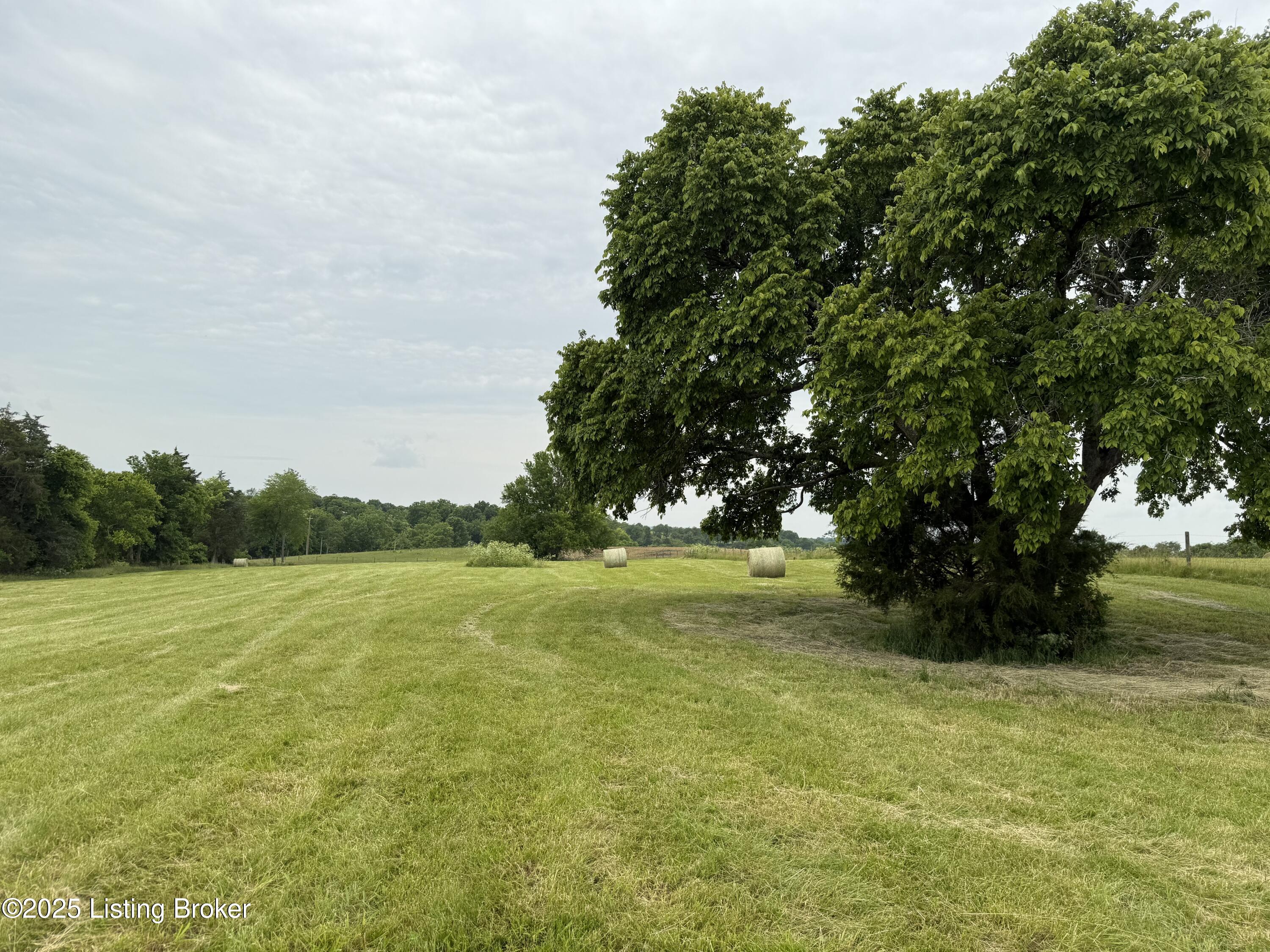 Tract#1 Beechland Rd, Springfield, Pennsylvania image 6