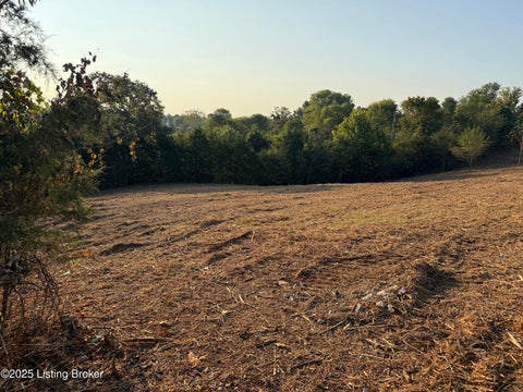 Vacant Land For Sale - 68 Stauffer Dr<br/> Pendleton, KY 40055