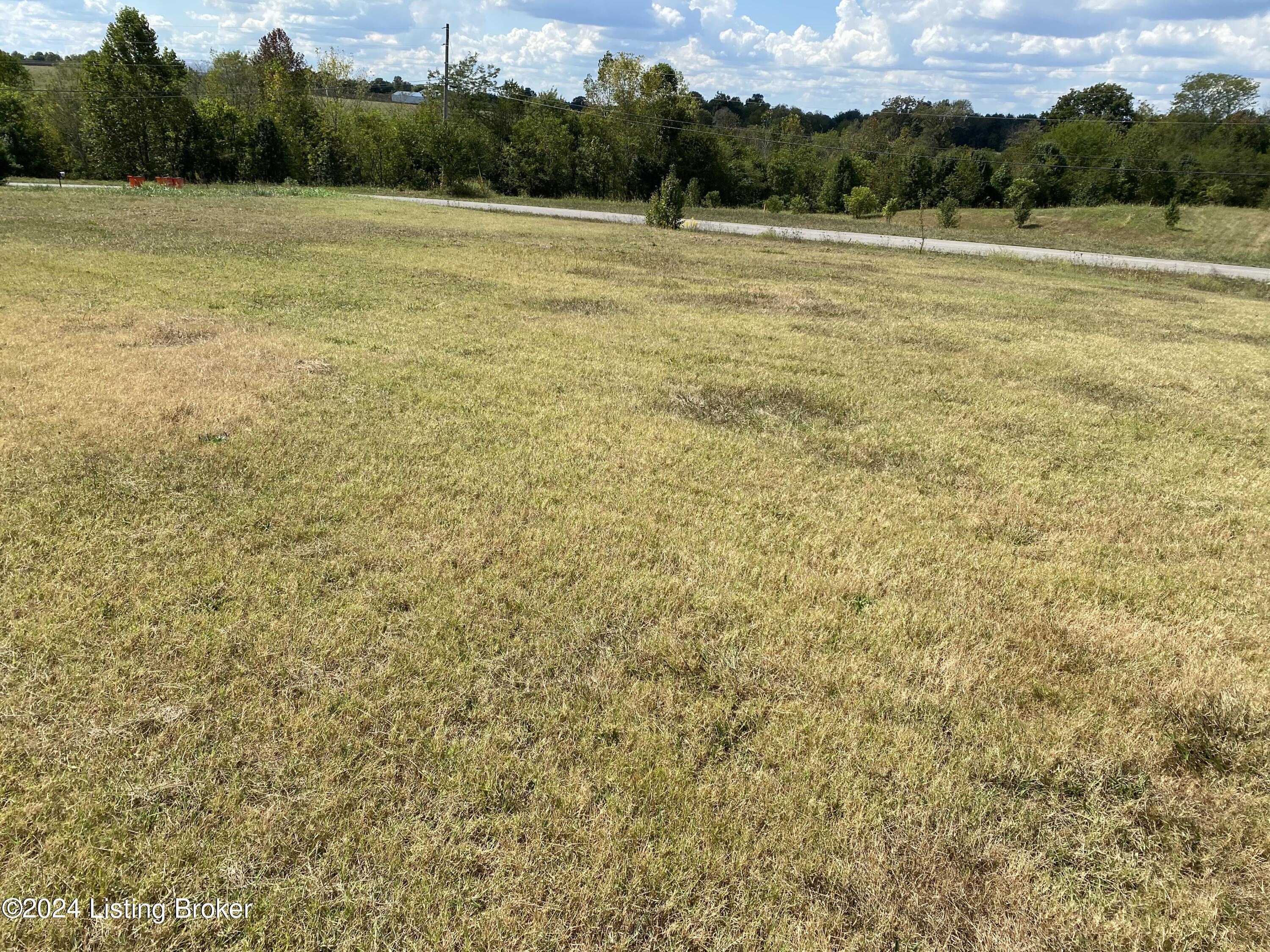 545 Genrose Dr, Rineyville, Kentucky image 35