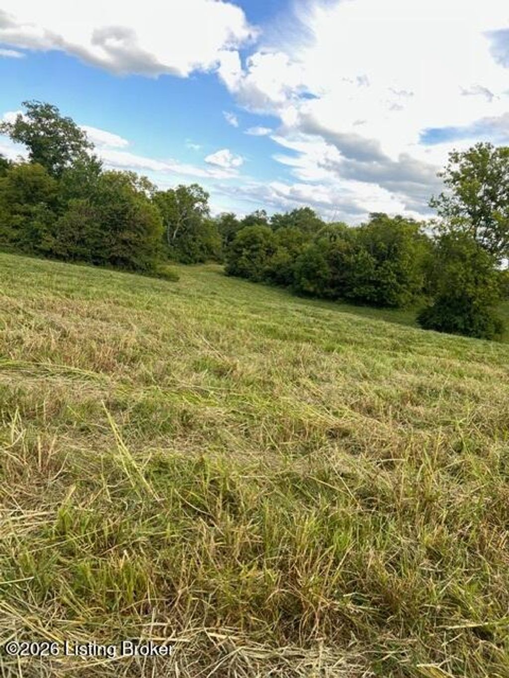 Photo of 2092C Hinkle Ln, Shelbyville, KY 40065 (MLS # 1710499)