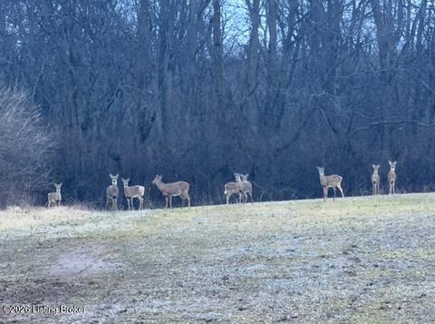 Vacant Land For Sale - 2092C Hinkle Ln<br/> Shelbyville, KY 40065