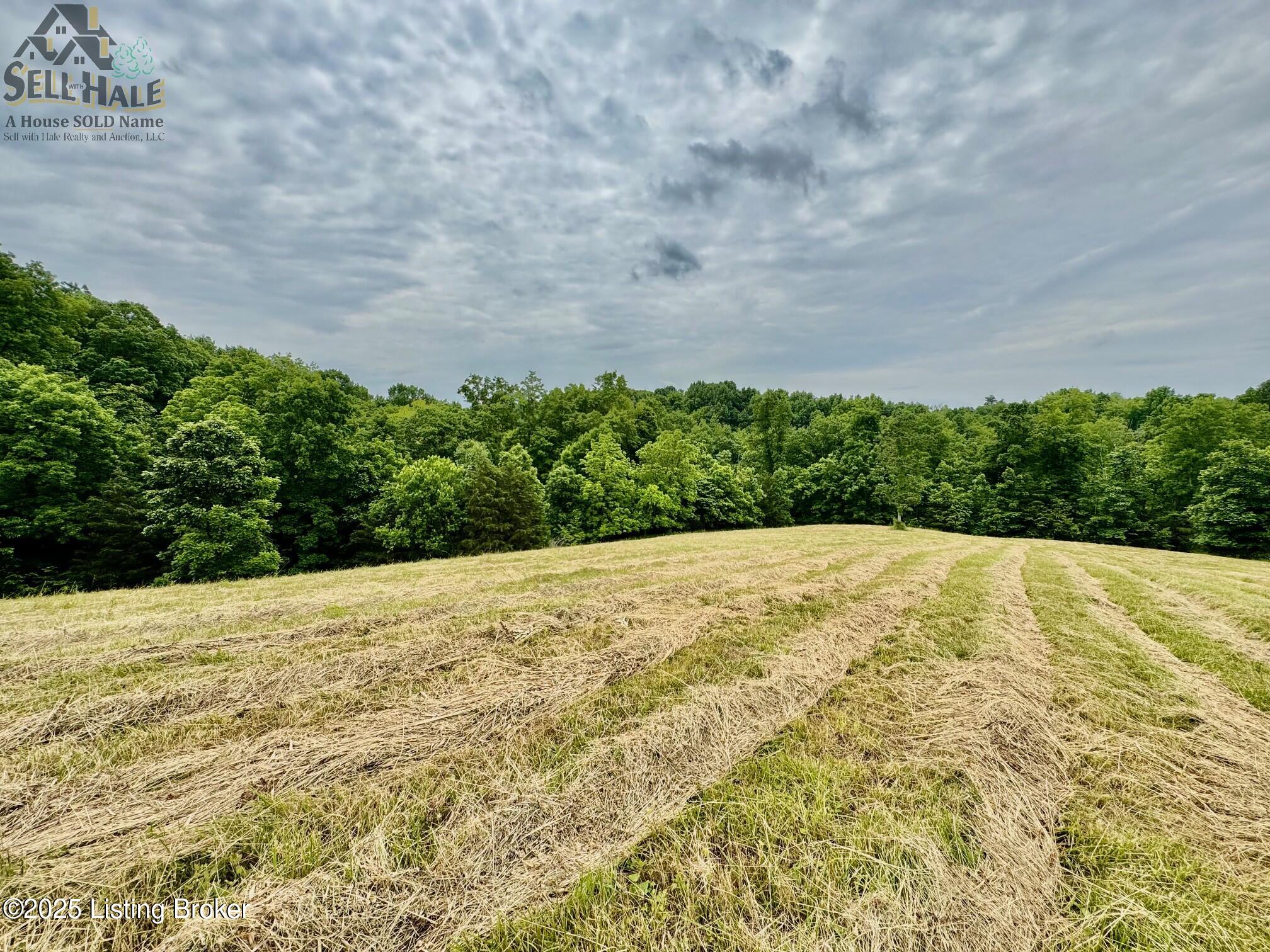 1 Polin Rd, Willisburg, Kentucky image 2