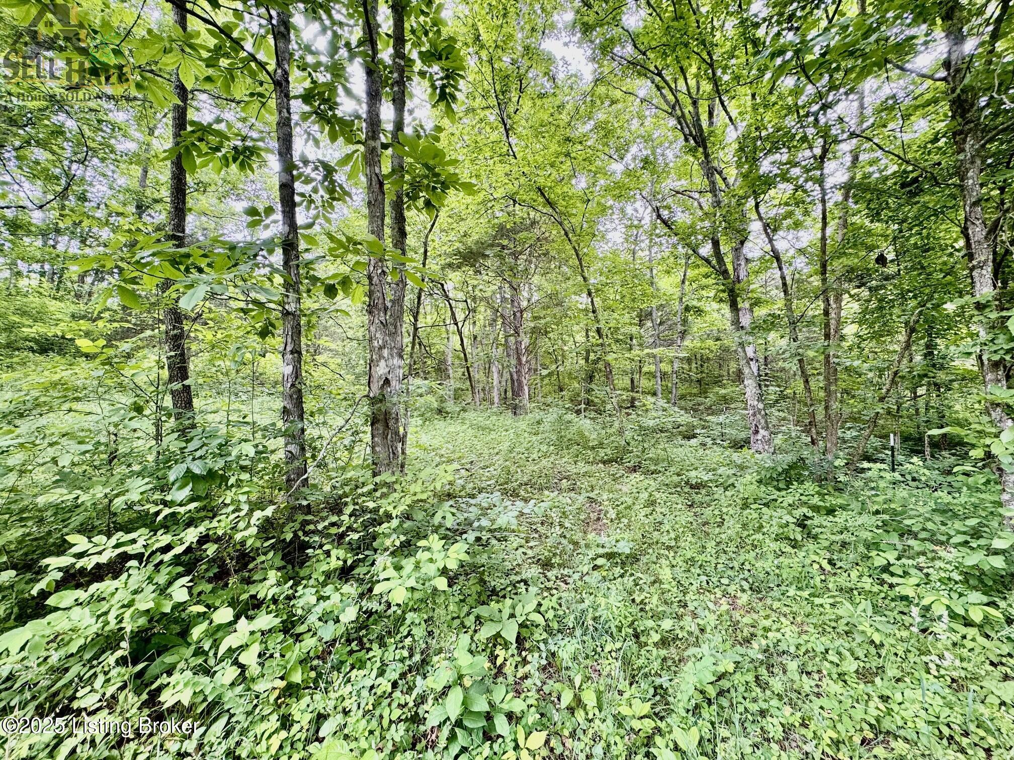 1 Polin Rd, Willisburg, Kentucky image 6