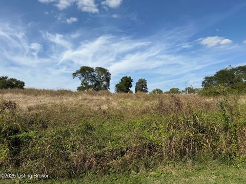 Vacant Land For Sale - Decatur Ave<br/> Nelson County, Bloomfield, KY 40008