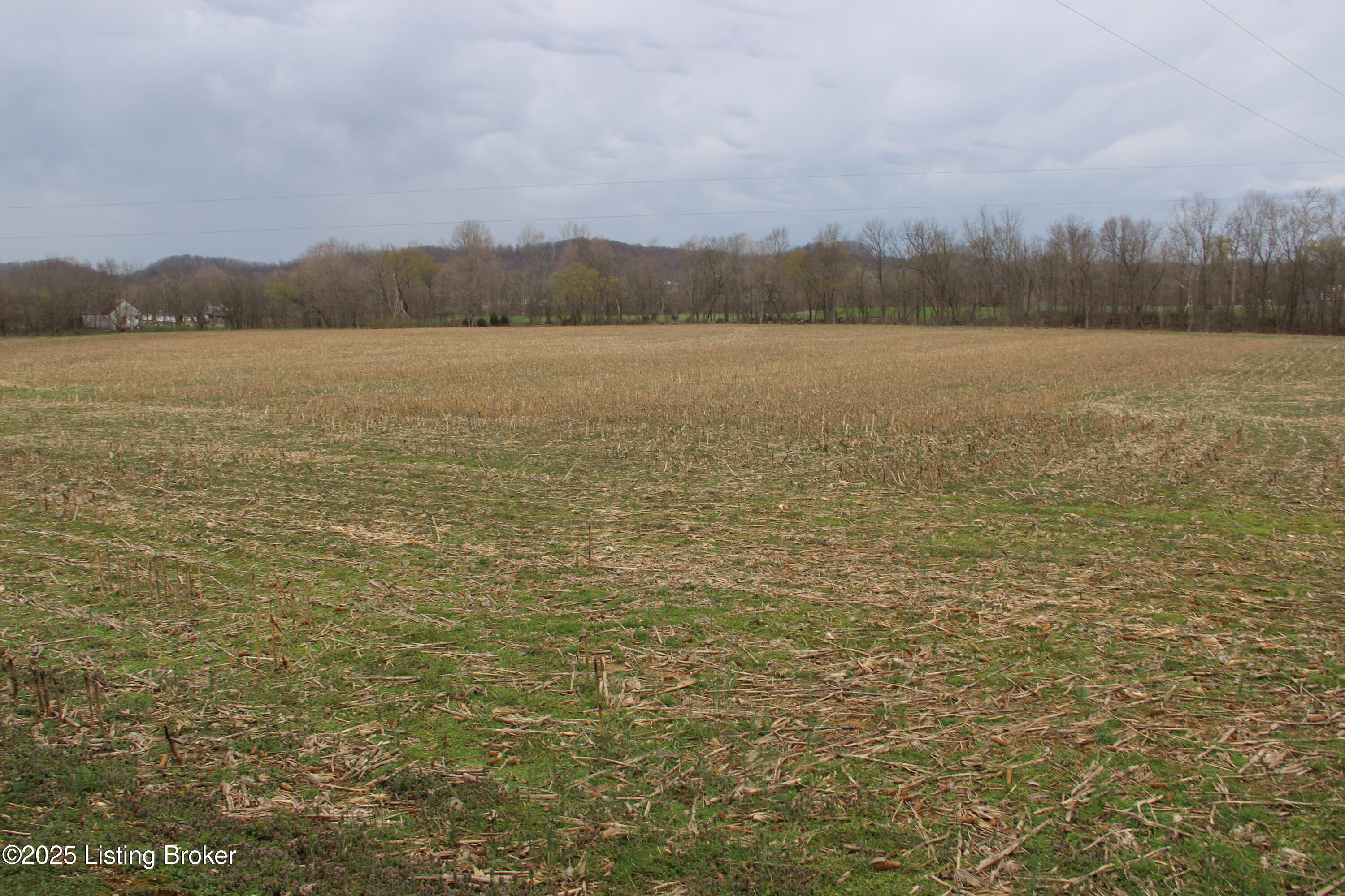 168 Merrimac Peck Rd, Elkhorn, Kentucky image 3
