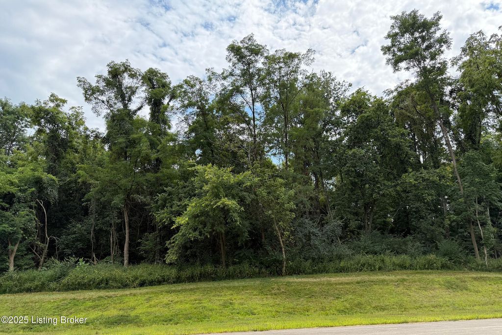 Photo of 5113 Sycamore Ridge Ln, La Grange, KY 40031 (MLS # 1697474)