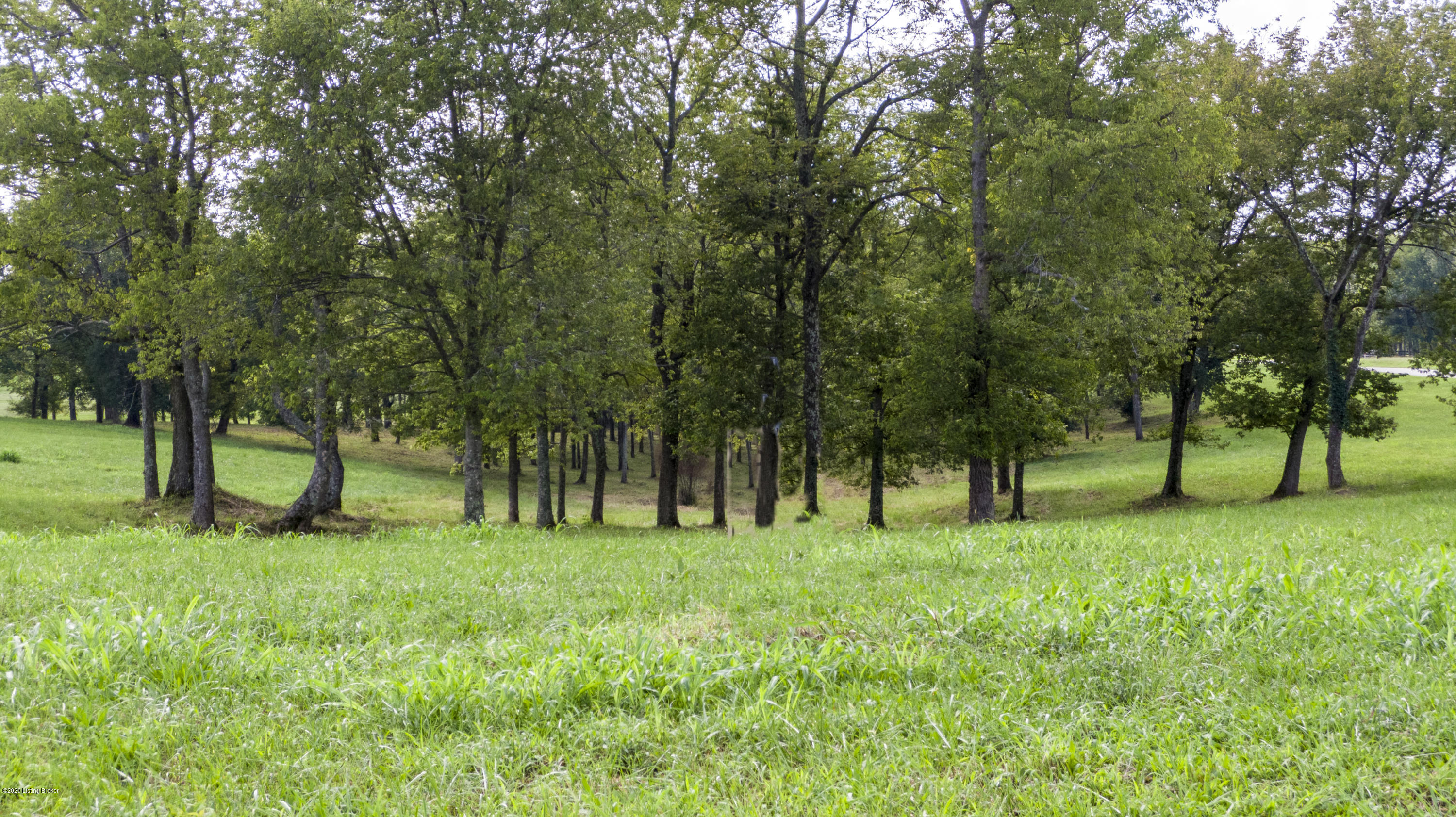 Photo 1 of 39 — 36B Plum Creek Ct, Finchville, KY 40022