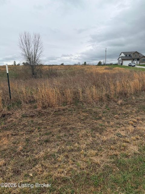 Vacant Land For Sale - 195 Diamond Ct<br/> Vine Grove, KY 40175
