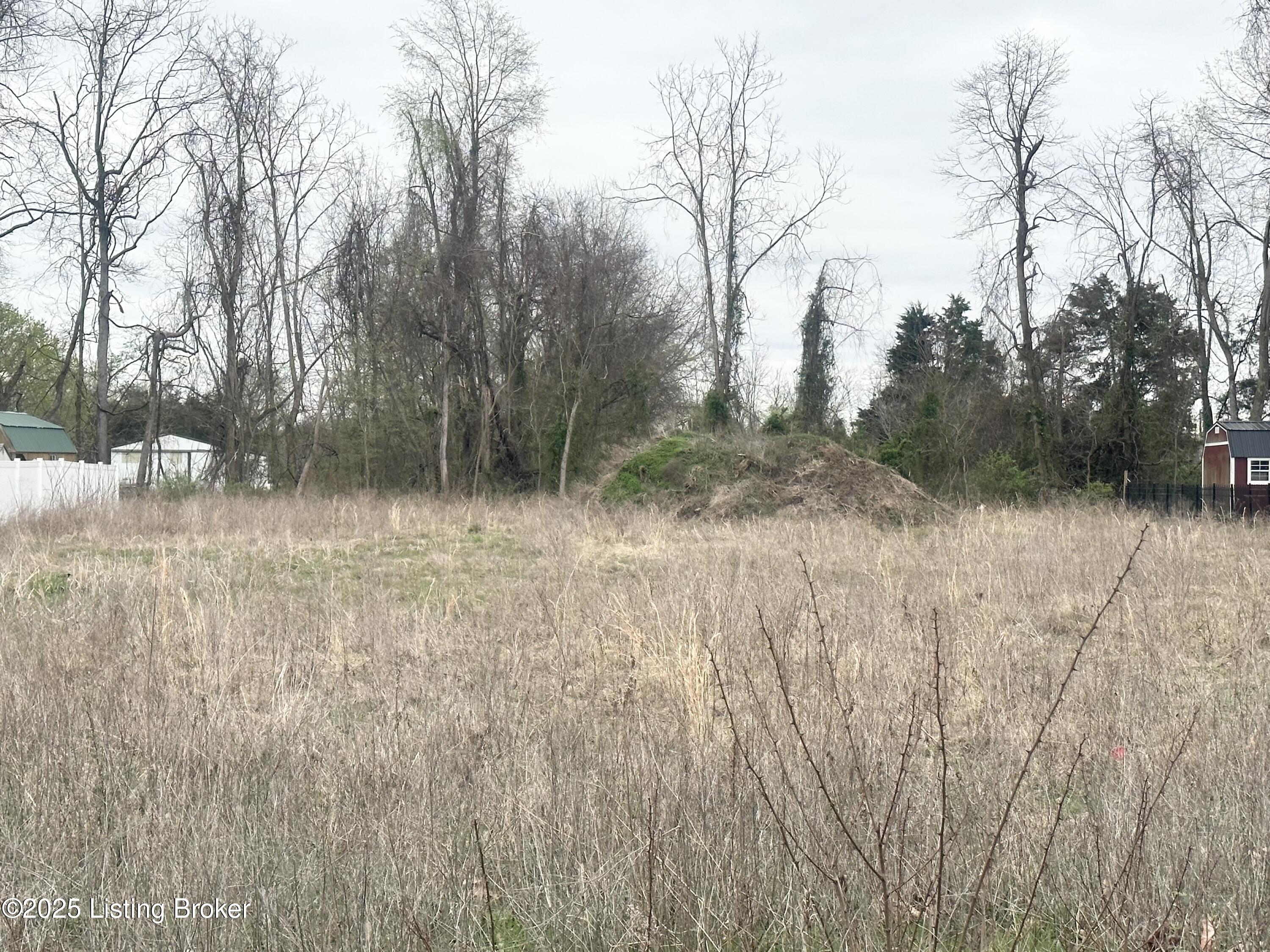 169 Blakenrod Blvd, Coxs Creek, Kentucky image 2