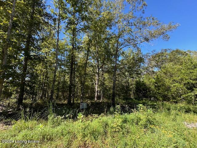 159 Moutardier Bay Dr, Leitchfield, Kentucky image 14