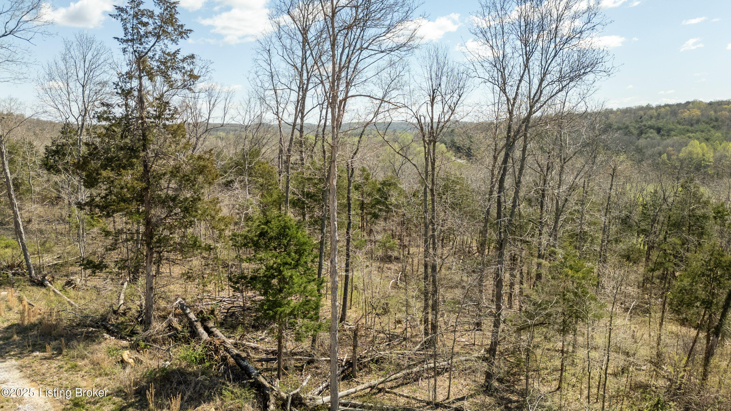 10313 Millerstown Rd, Clarkson, Pennsylvania image 8