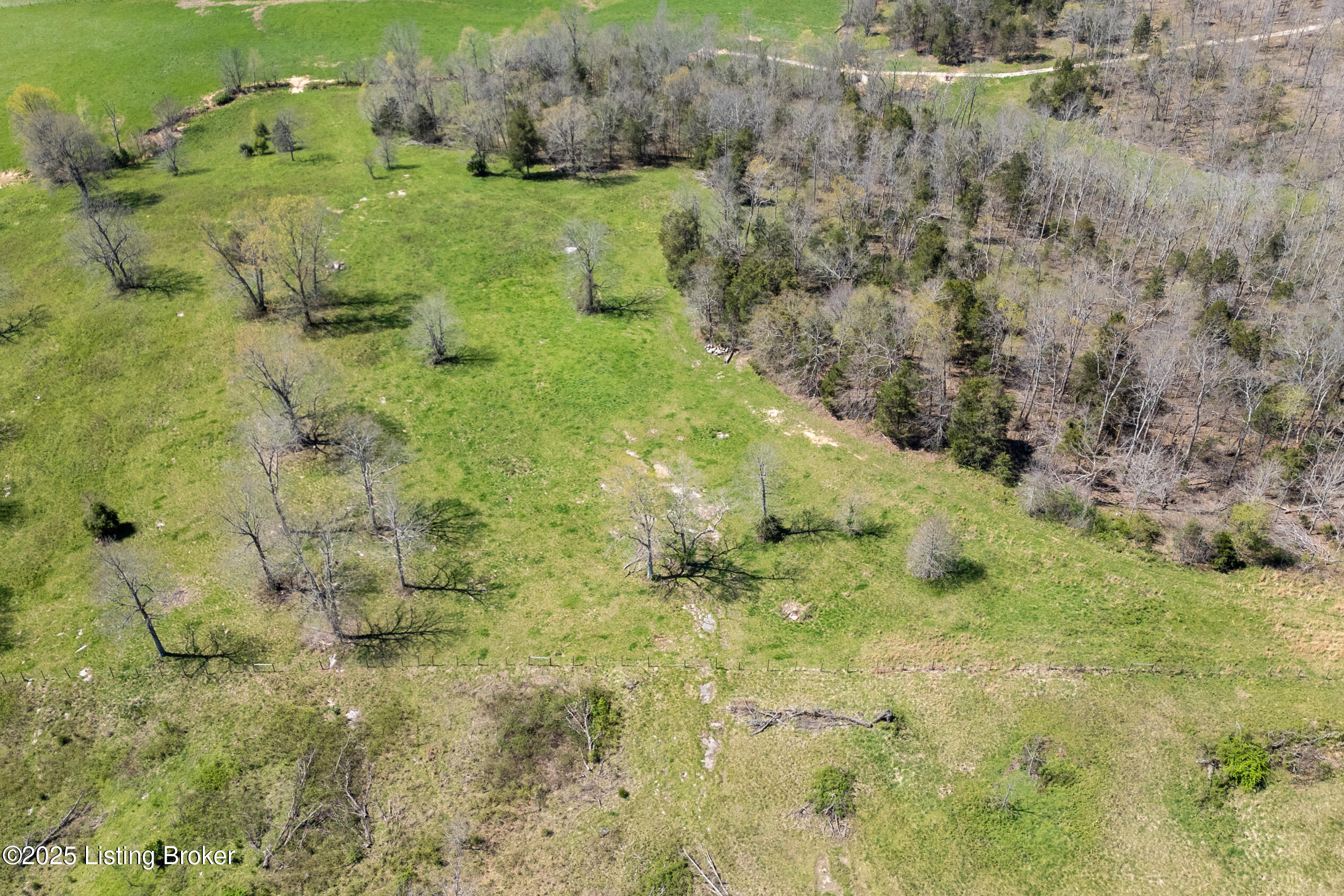 10313 Millerstown Rd, Clarkson, Pennsylvania image 20