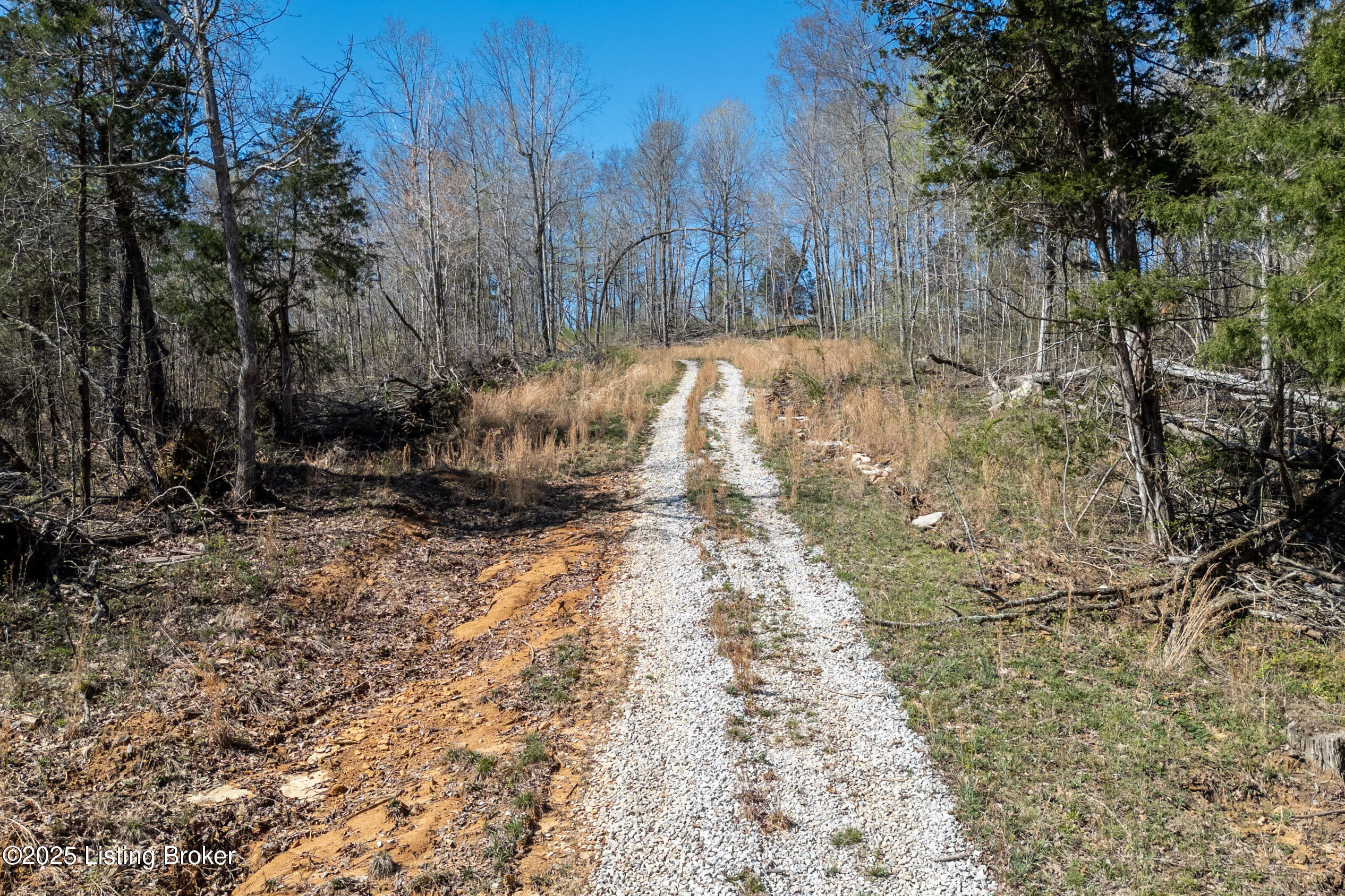 10313 Millerstown Rd, Clarkson, Pennsylvania image 3