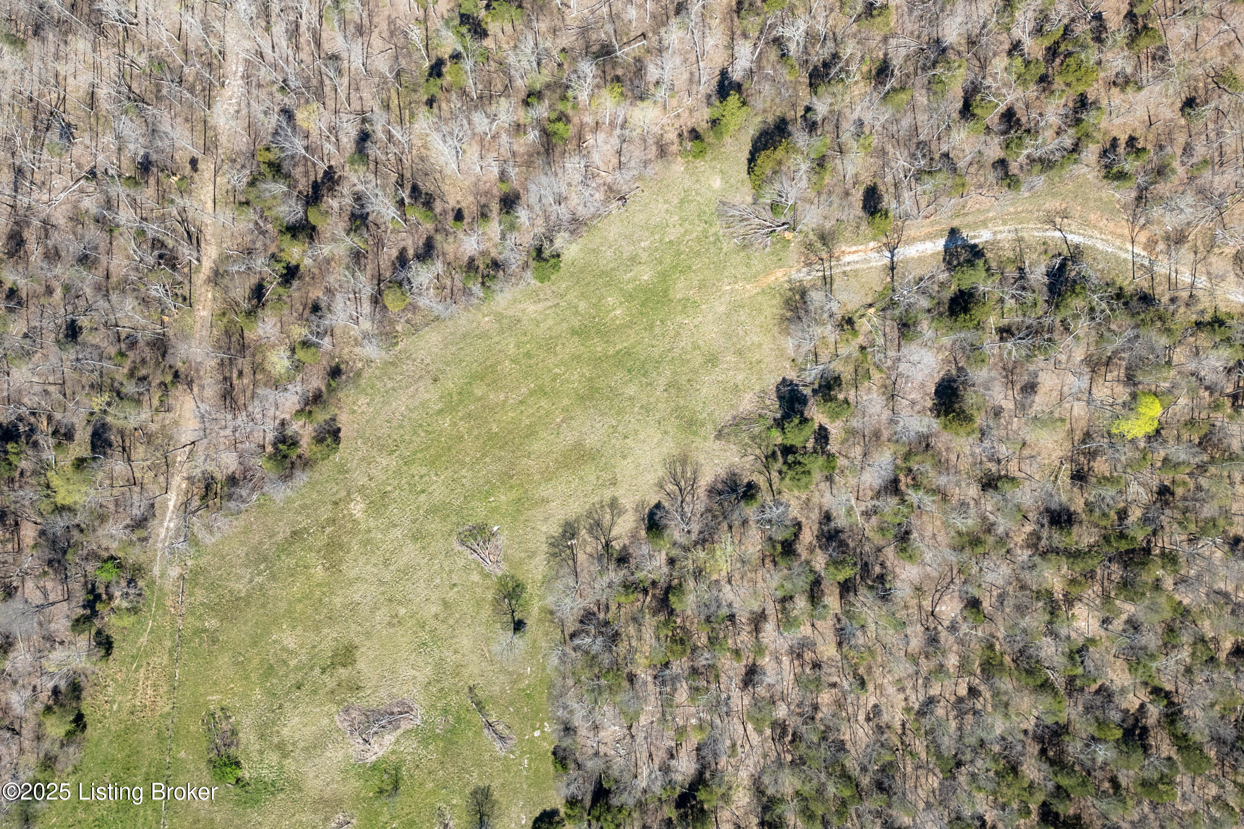 10313 Millerstown Rd, Clarkson, Pennsylvania image 13