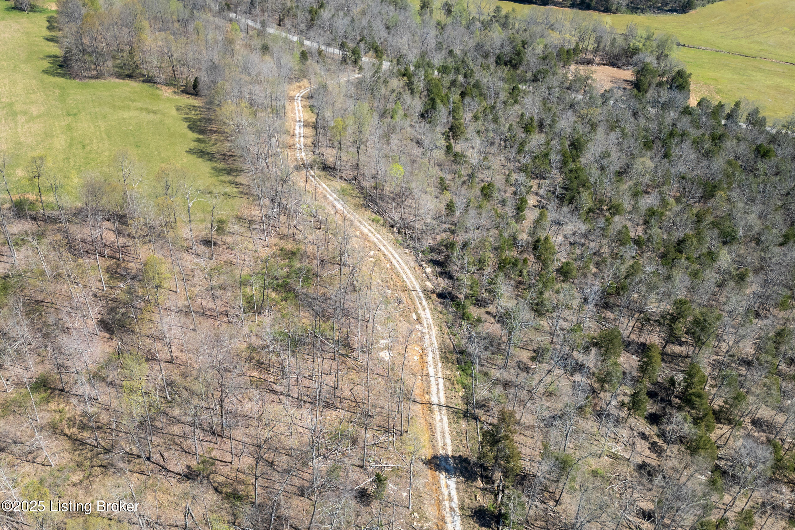 10313 Millerstown Rd, Clarkson, Pennsylvania image 12