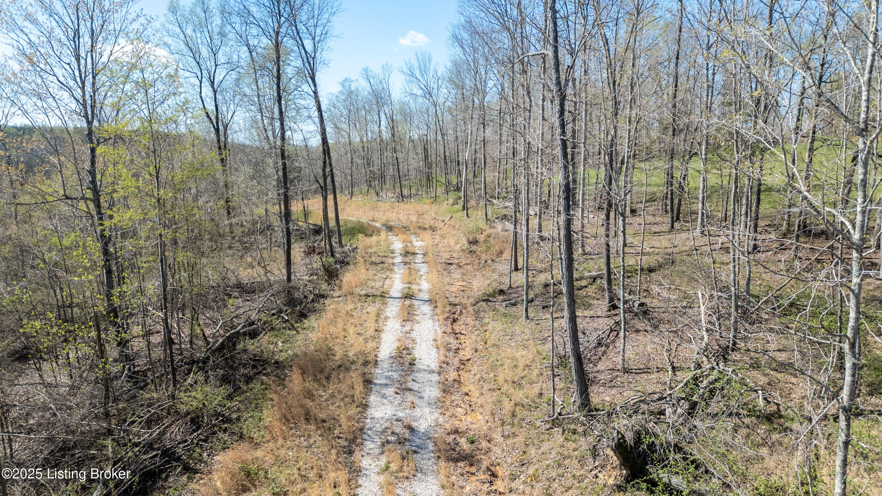 10313 Millerstown Rd, Clarkson, Pennsylvania image 6