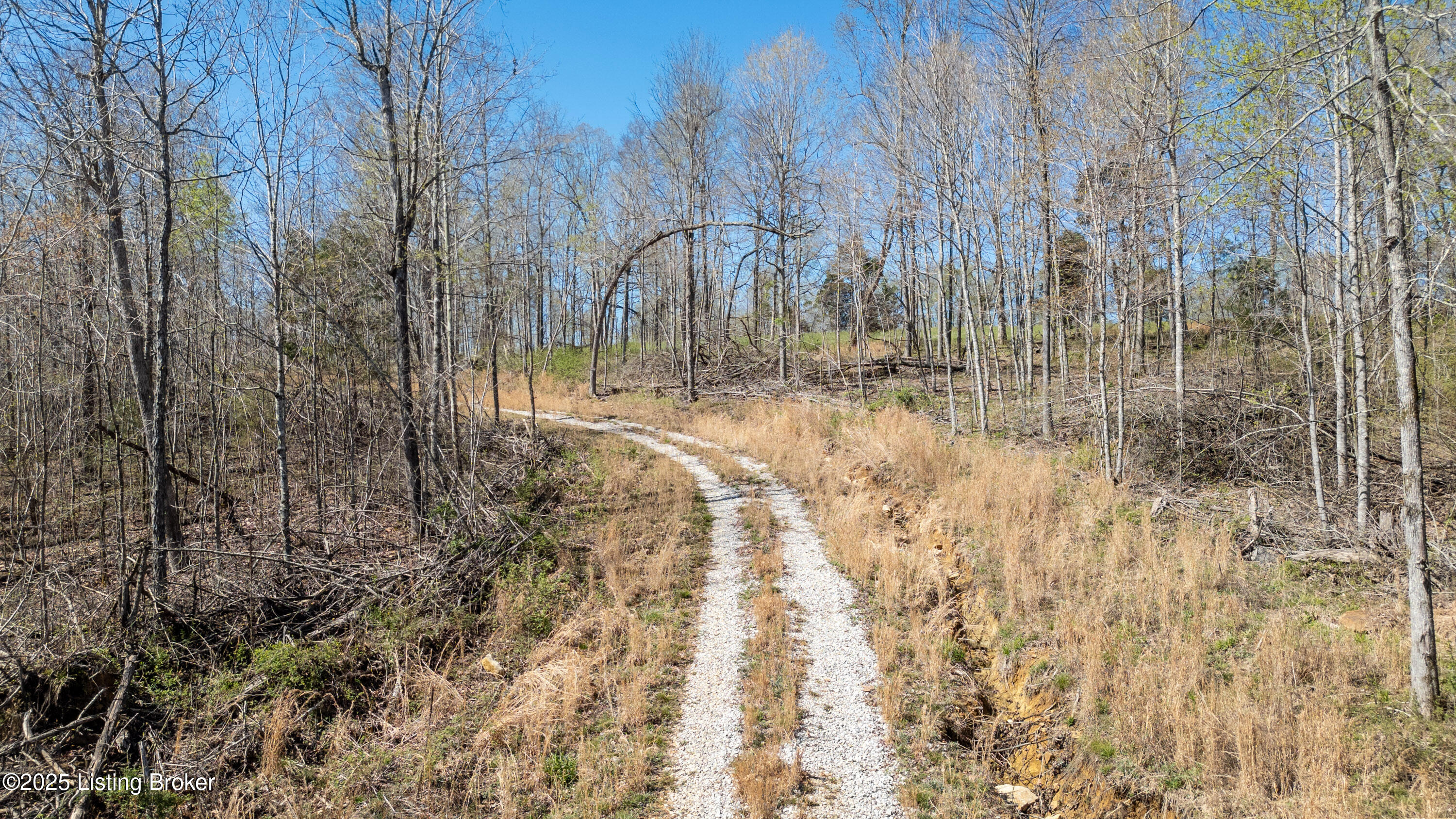 10313 Millerstown Rd, Clarkson, Pennsylvania image 5
