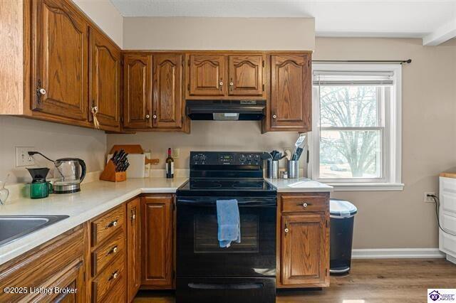 305 Falcon Ct, Elizabethtown, Kentucky image 9