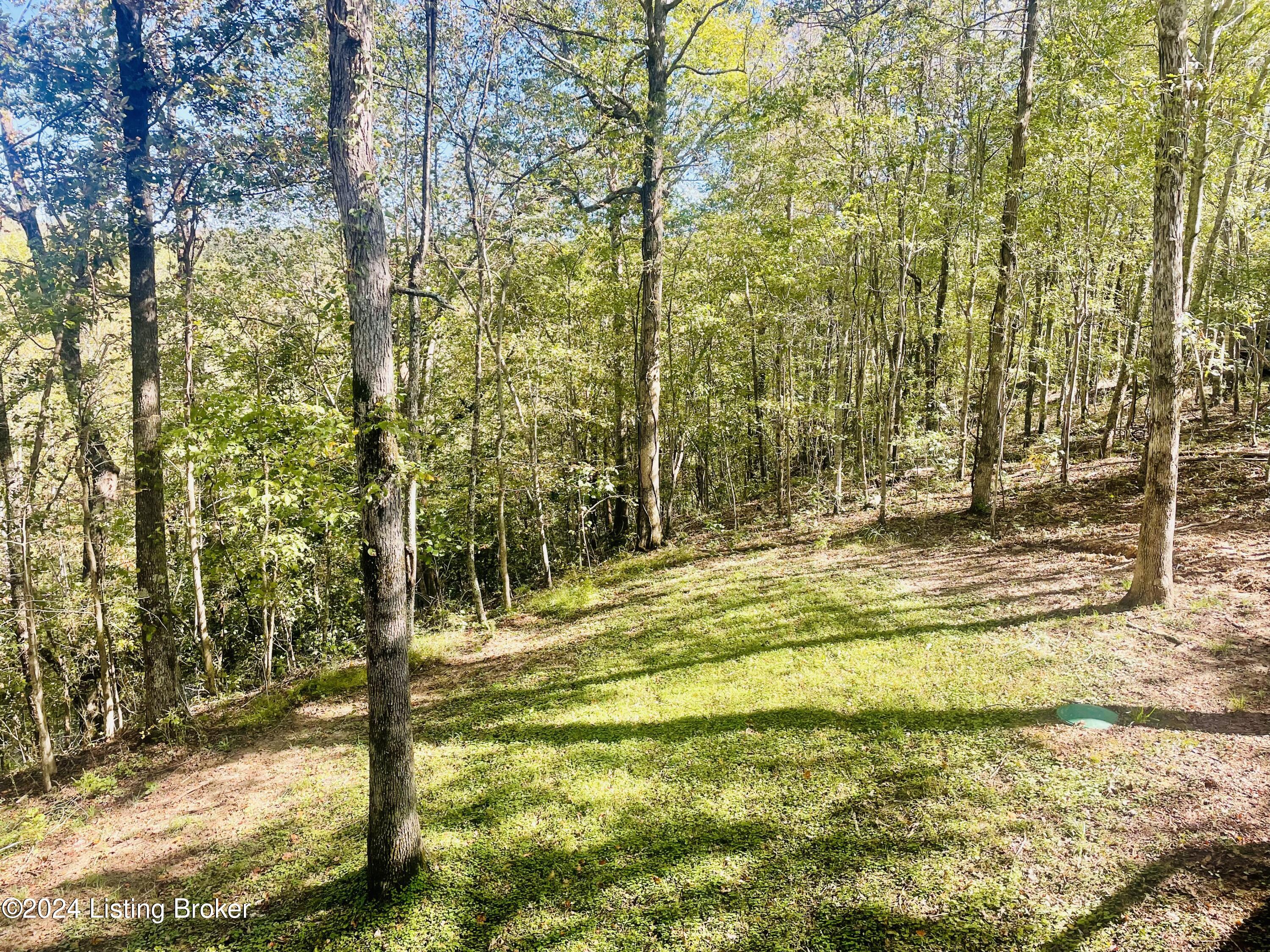 132 Cherry Ln, Leitchfield, Kentucky image 24