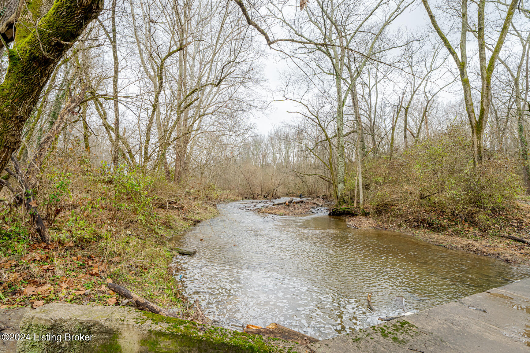 1795 Simpson Creek Rd, Bloomfield, Kentucky image 12