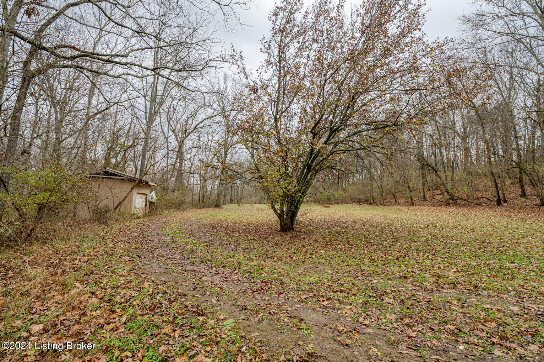 1795 Simpson Creek Rd, Bloomfield, Kentucky image 9