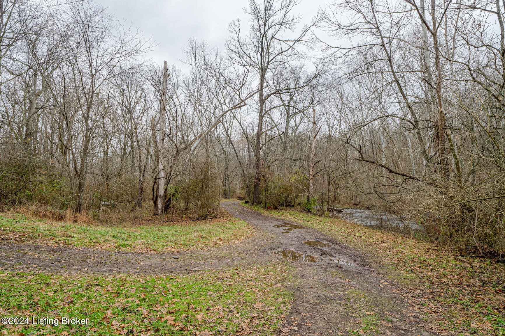 1795 Simpson Creek Rd, Bloomfield, Kentucky image 20