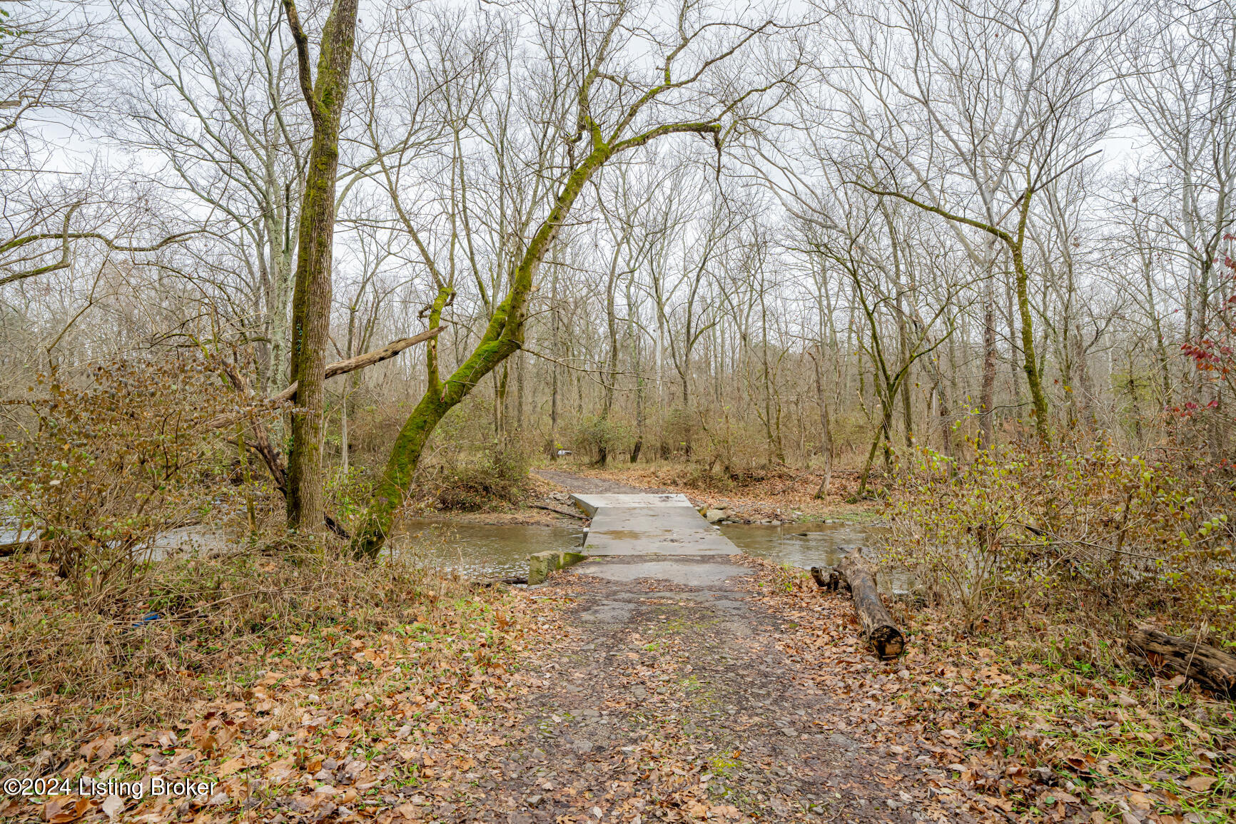 1795 Simpson Creek Rd, Bloomfield, Kentucky image 18