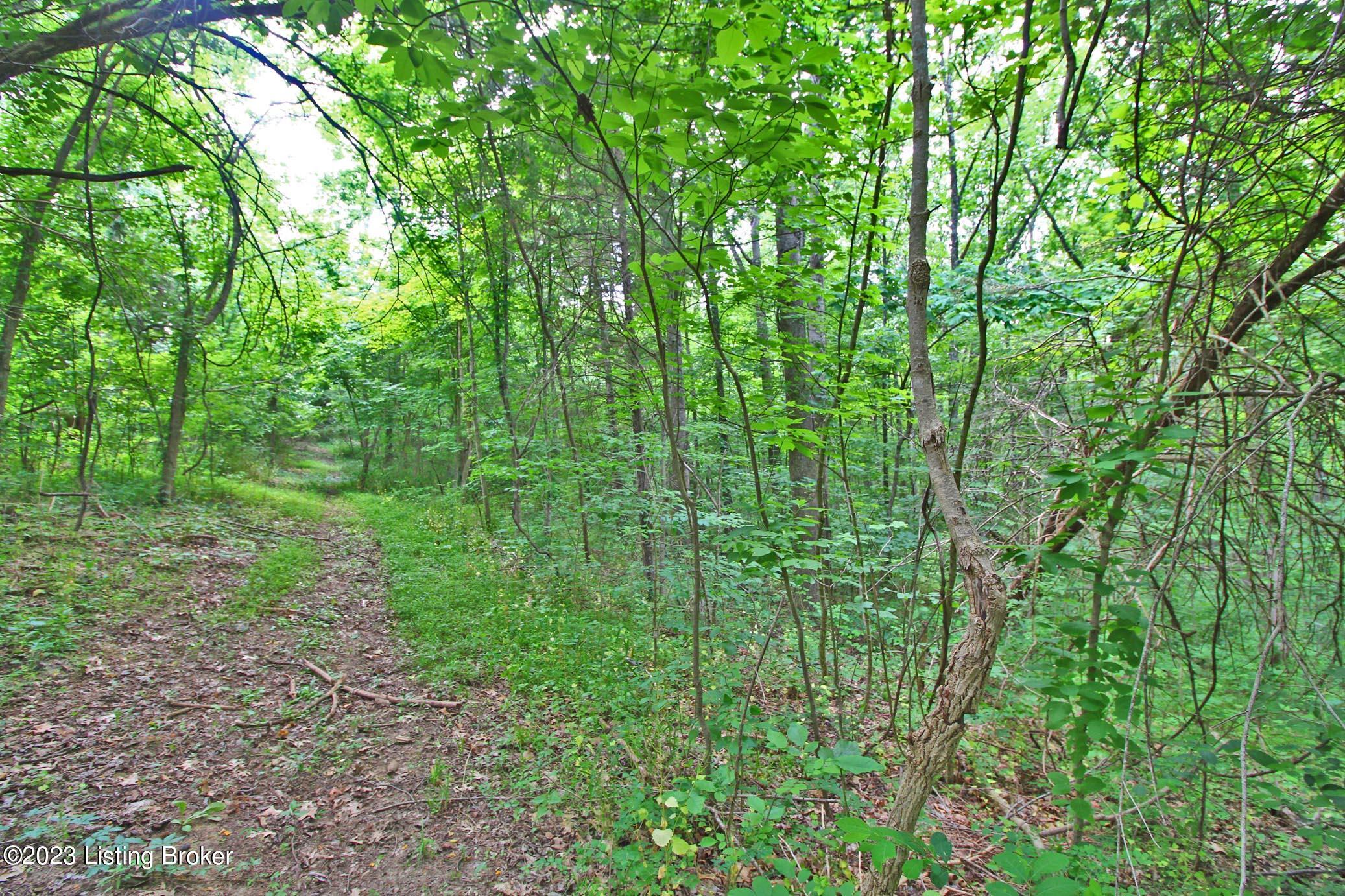 9445 Bob Rogers Rd, Frankfort, Kentucky image 5