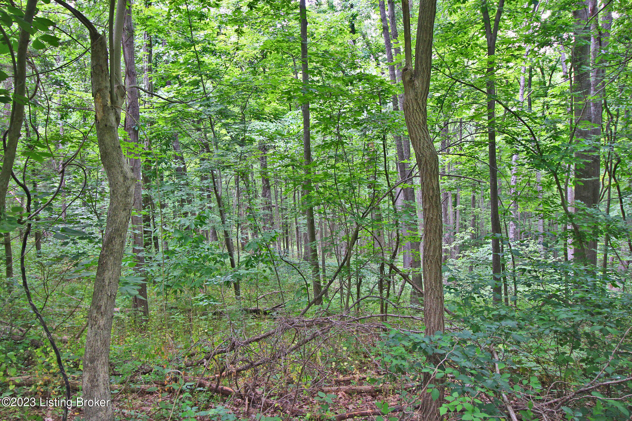 9445 Bob Rogers Rd, Frankfort, Kentucky image 2