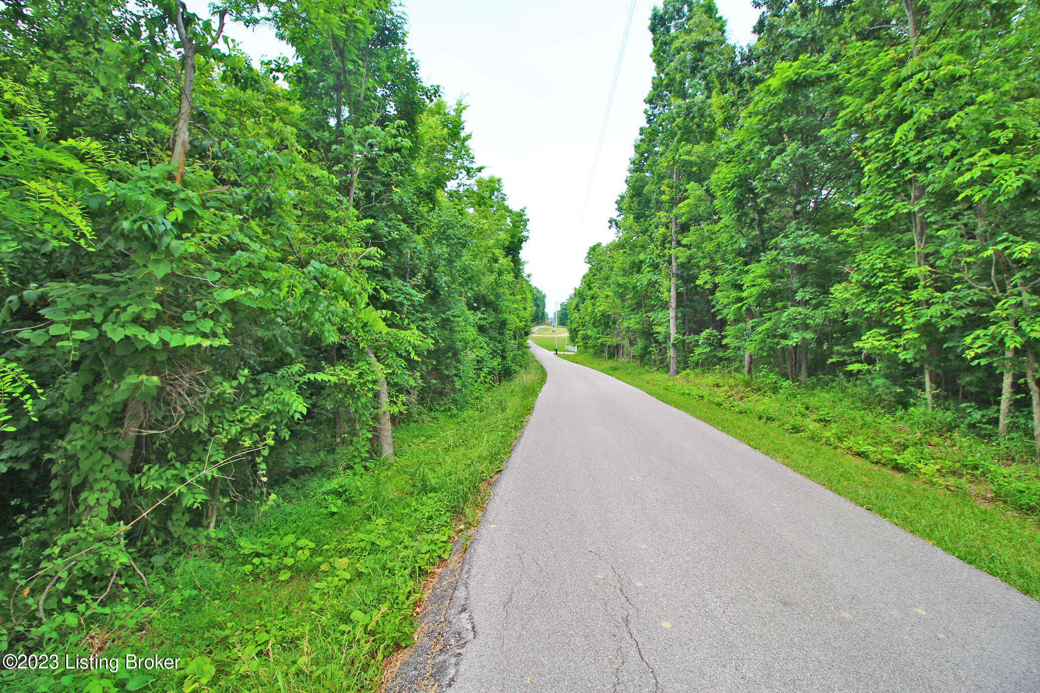 9445 Bob Rogers Rd, Frankfort, Kentucky image 8