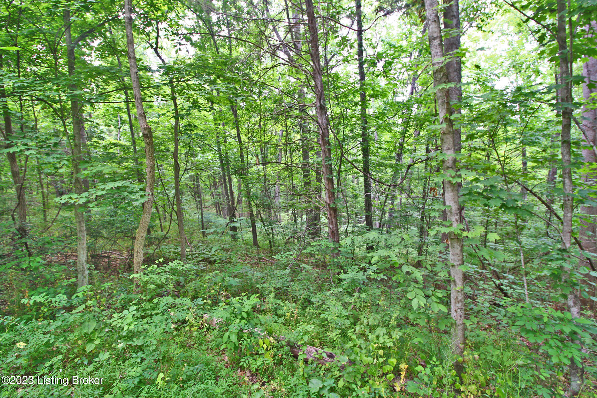 9445 Bob Rogers Rd, Frankfort, Kentucky image 3
