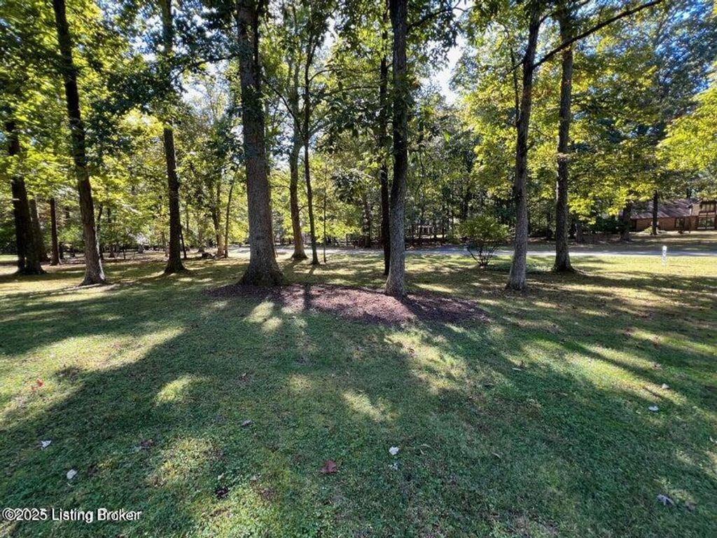 Photo of 3203 Kings Ct, Bardstown, KY 40004 (MLS # 1714567)