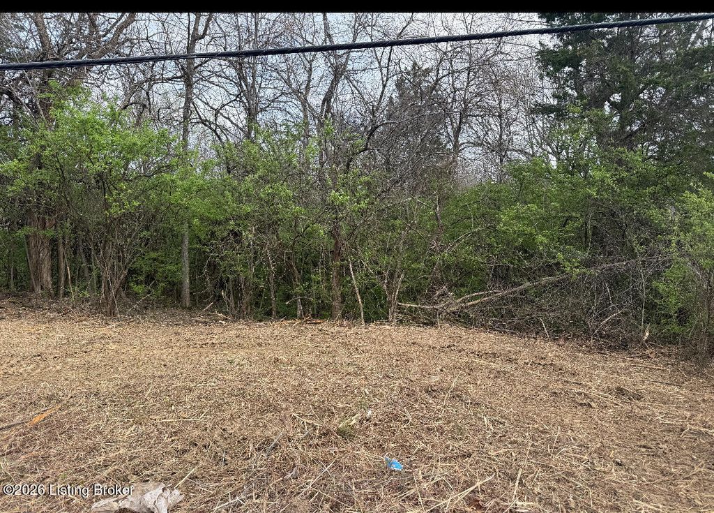 Photo of 2303 Zhale Smith Rd, La Grange, KY 40031 (MLS # 1713713)