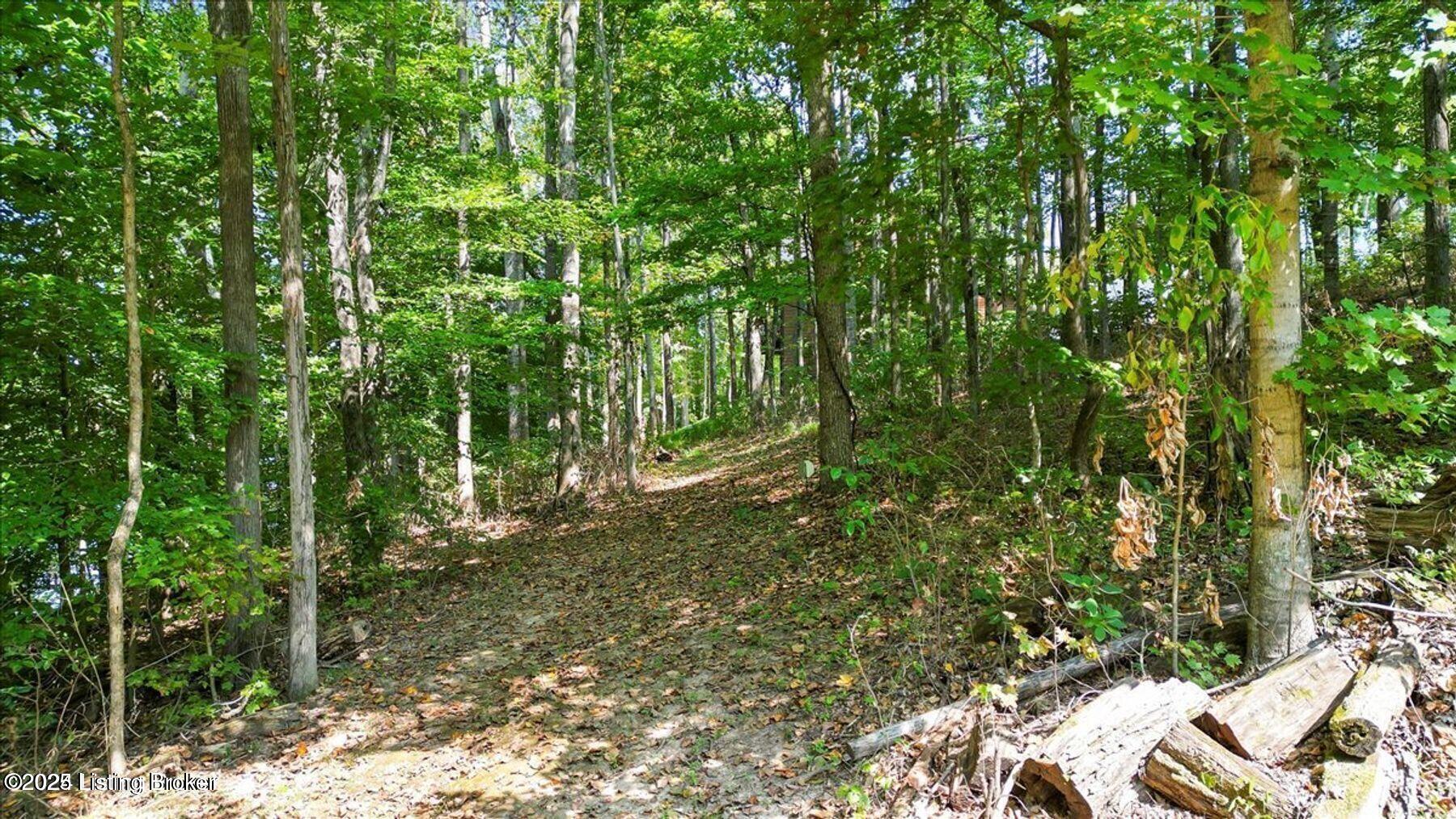 308 Bay Ridge Rd, Lucas, Kentucky image 3