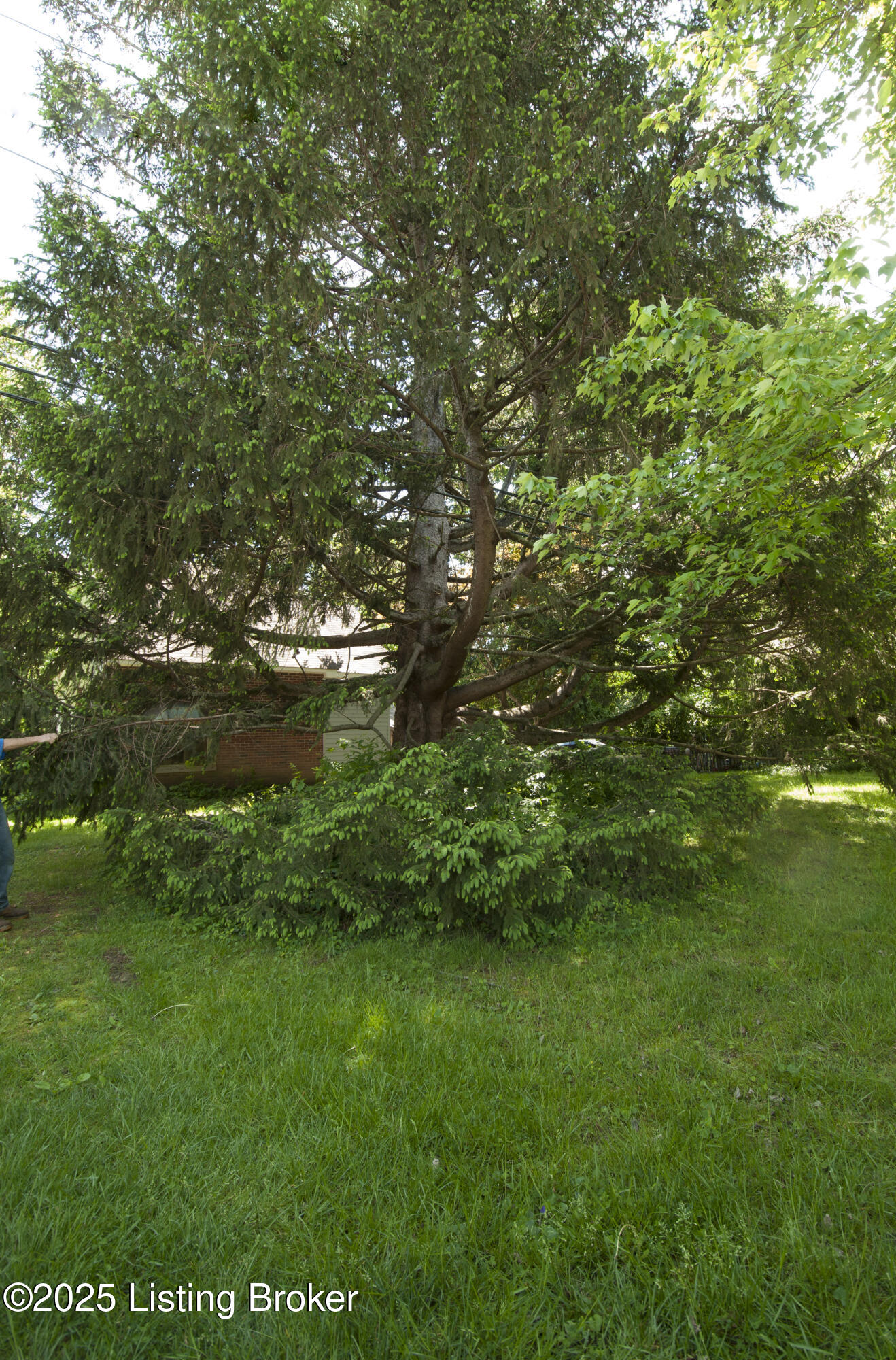 357 Ridgeway Ave, Louisville, Pennsylvania image 32