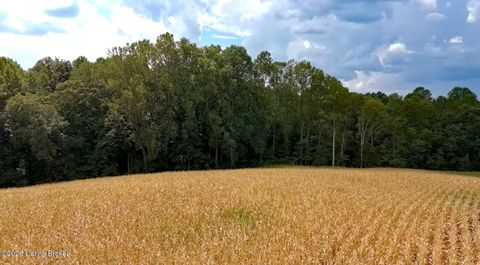 Vacant Land For Sale - Scott-marcum Rd<br/> Summersville, KY 42782