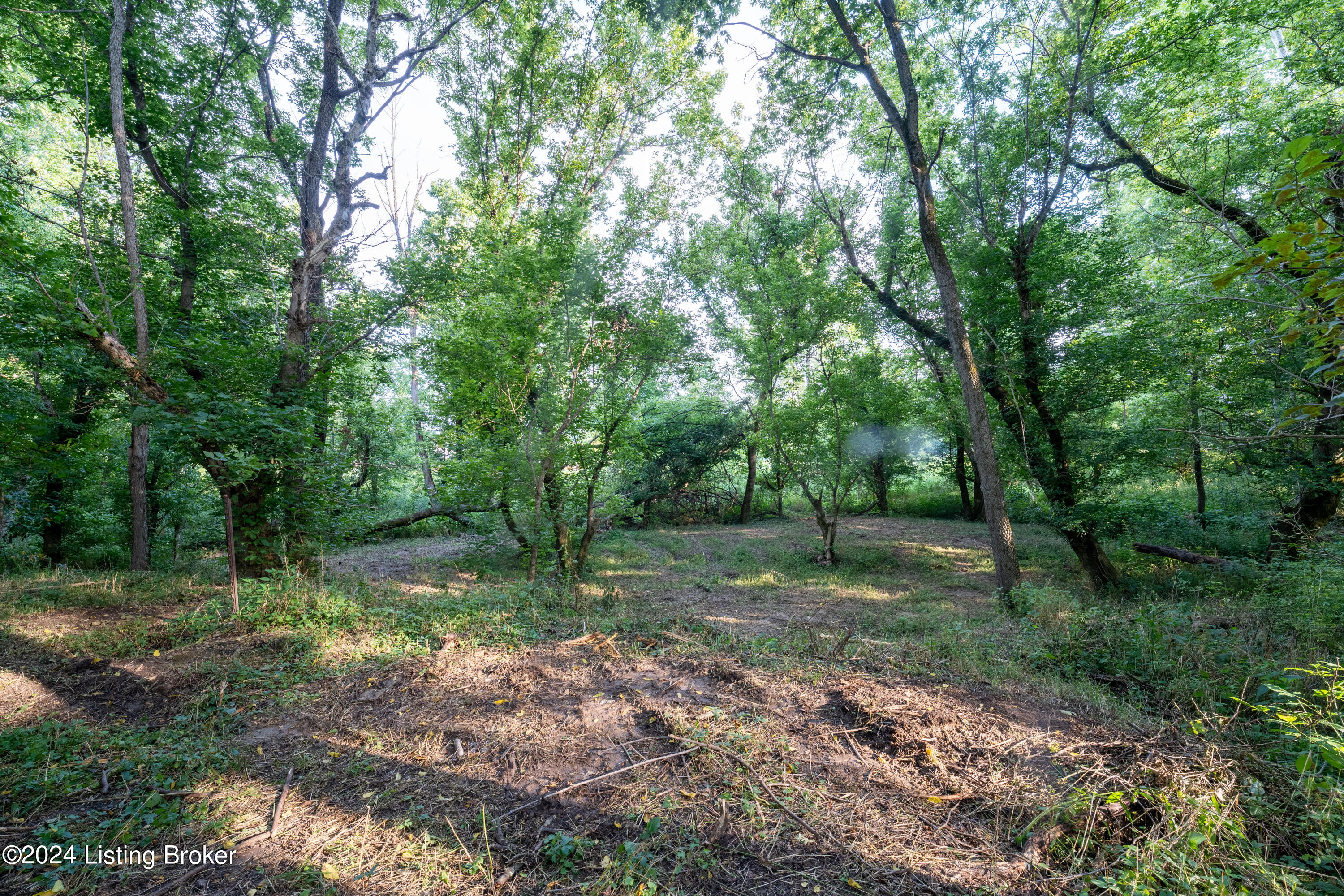3460 N Highway 53, La Grange, Kentucky image 7