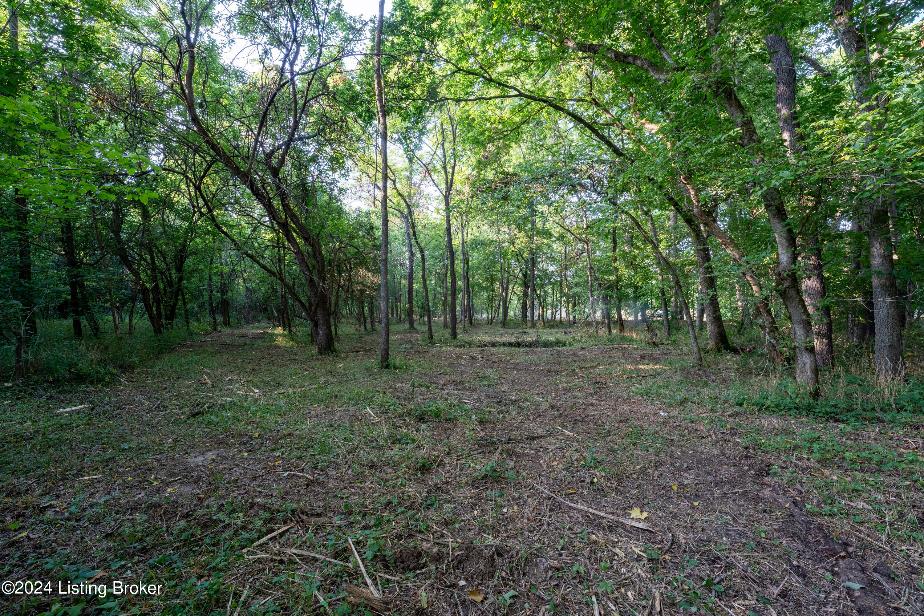 3460 N Highway 53, La Grange, Kentucky image 14