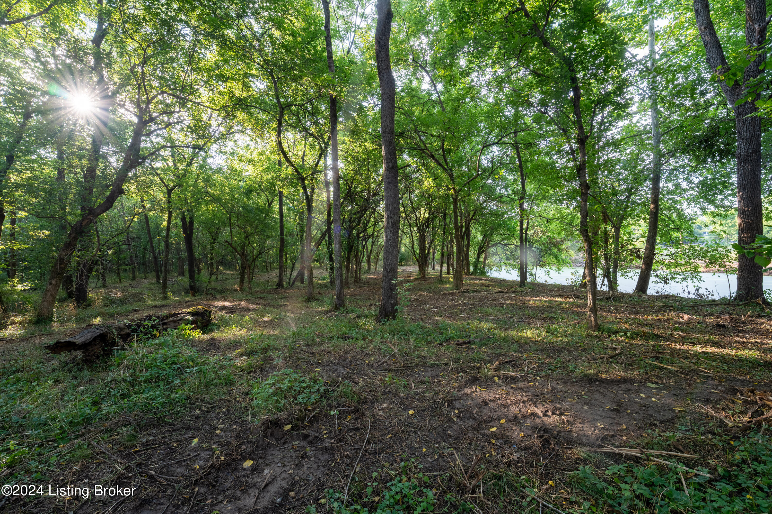 3460 N Highway 53, La Grange, Kentucky image 9