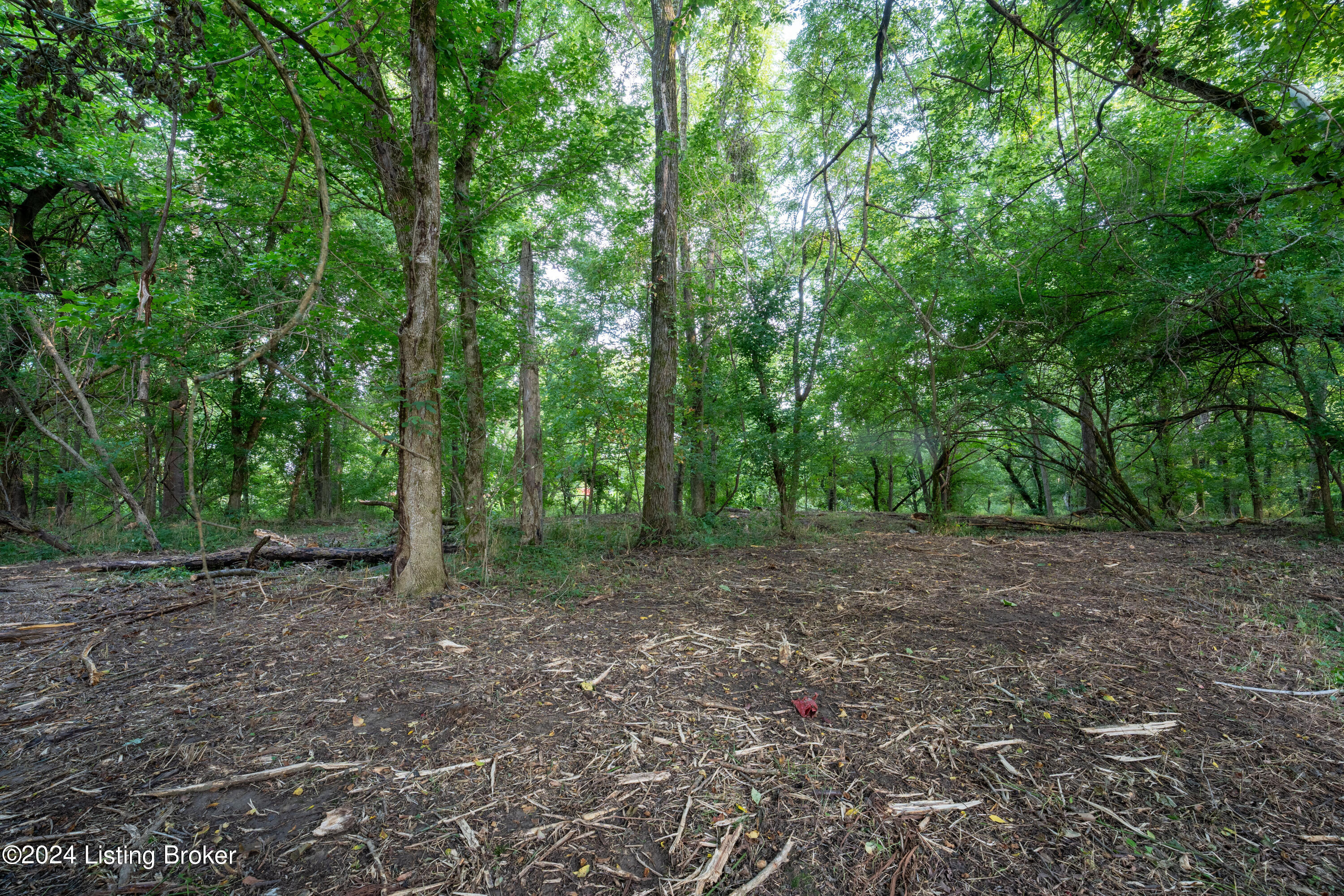 3460 N Highway 53, La Grange, Kentucky image 6