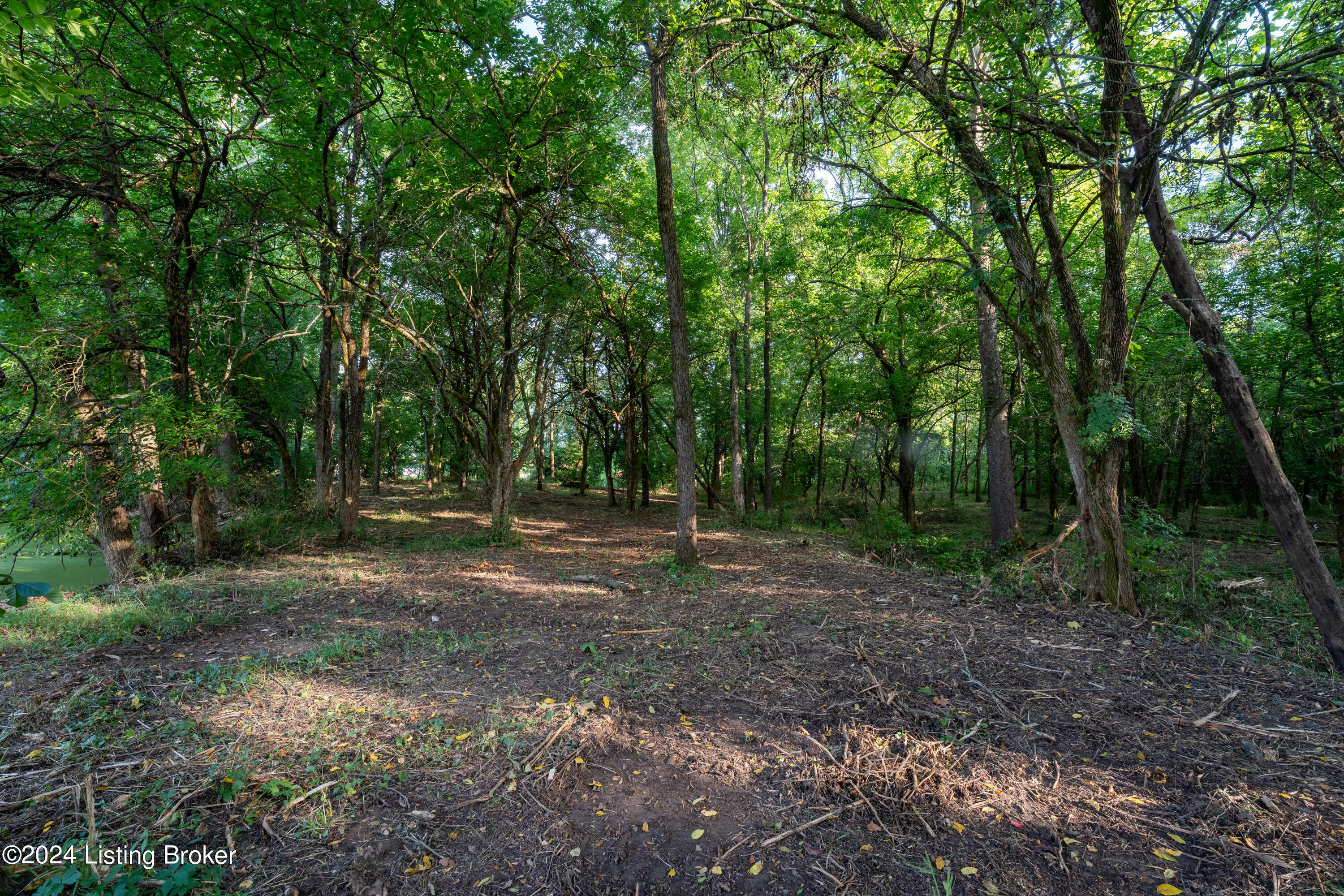 3460 N Highway 53, La Grange, Kentucky image 11