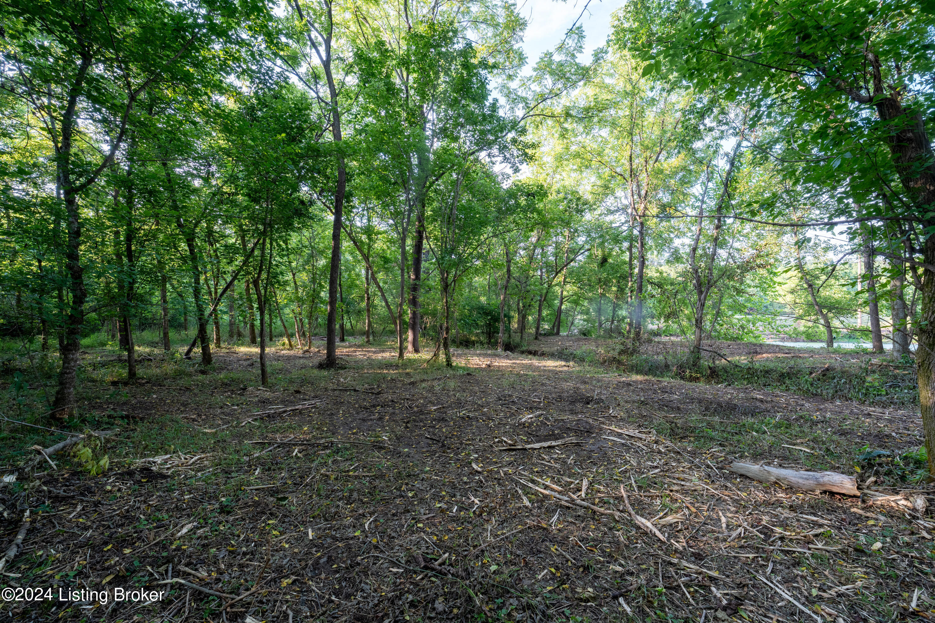 3460 N Highway 53, La Grange, Kentucky image 12