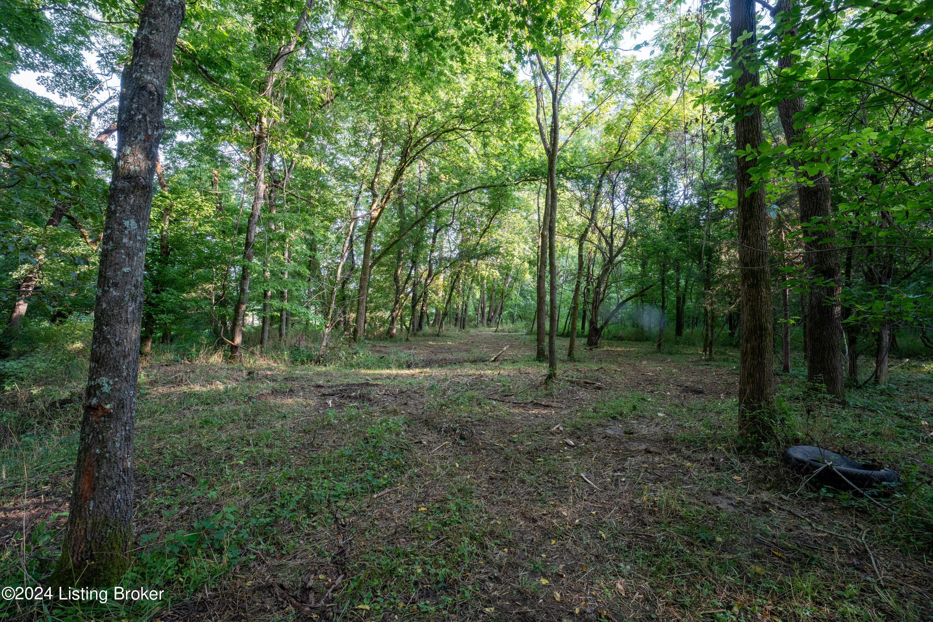3460 N Highway 53, La Grange, Kentucky image 13
