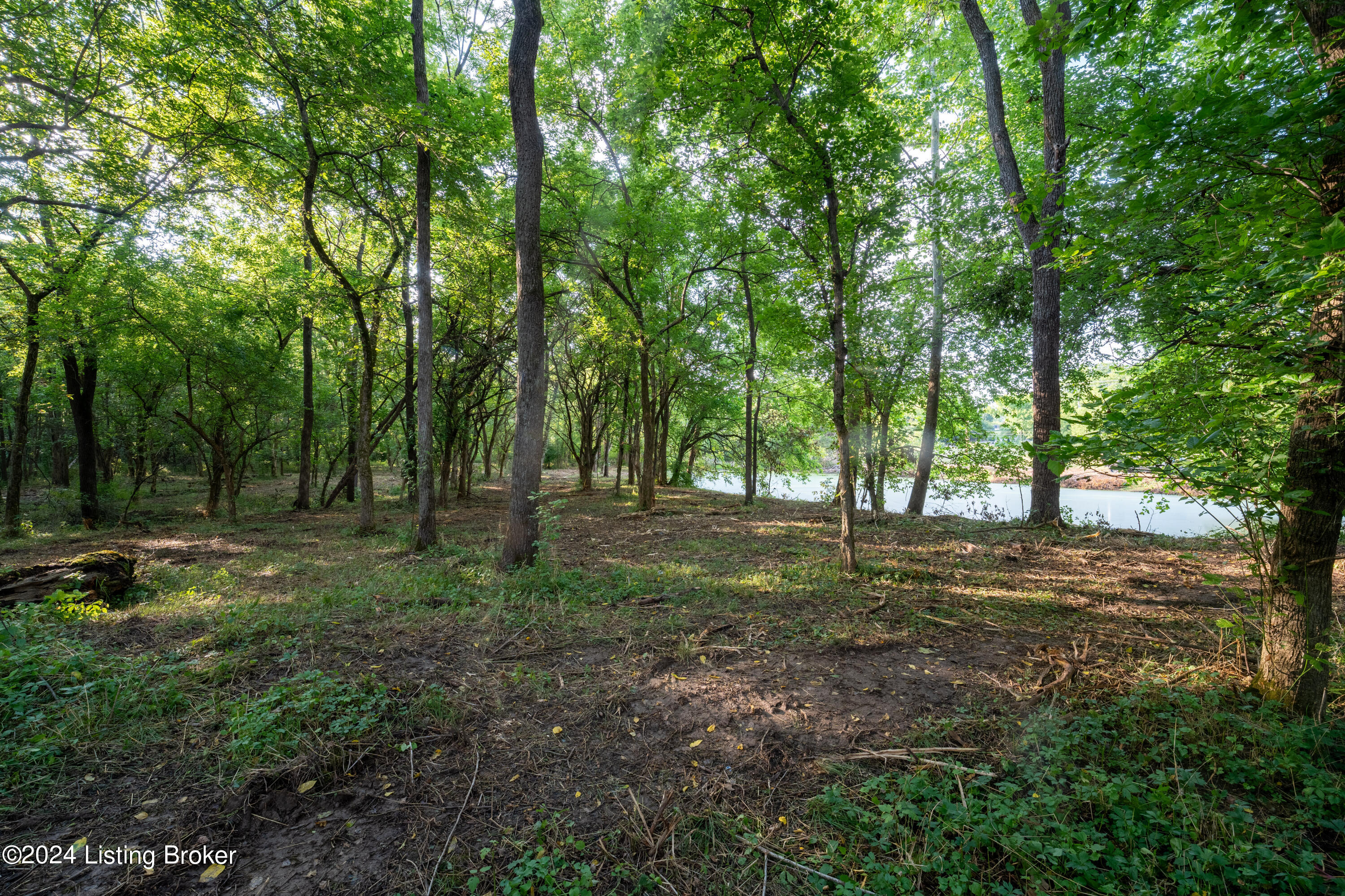 3460 N Highway 53, La Grange, Kentucky image 8