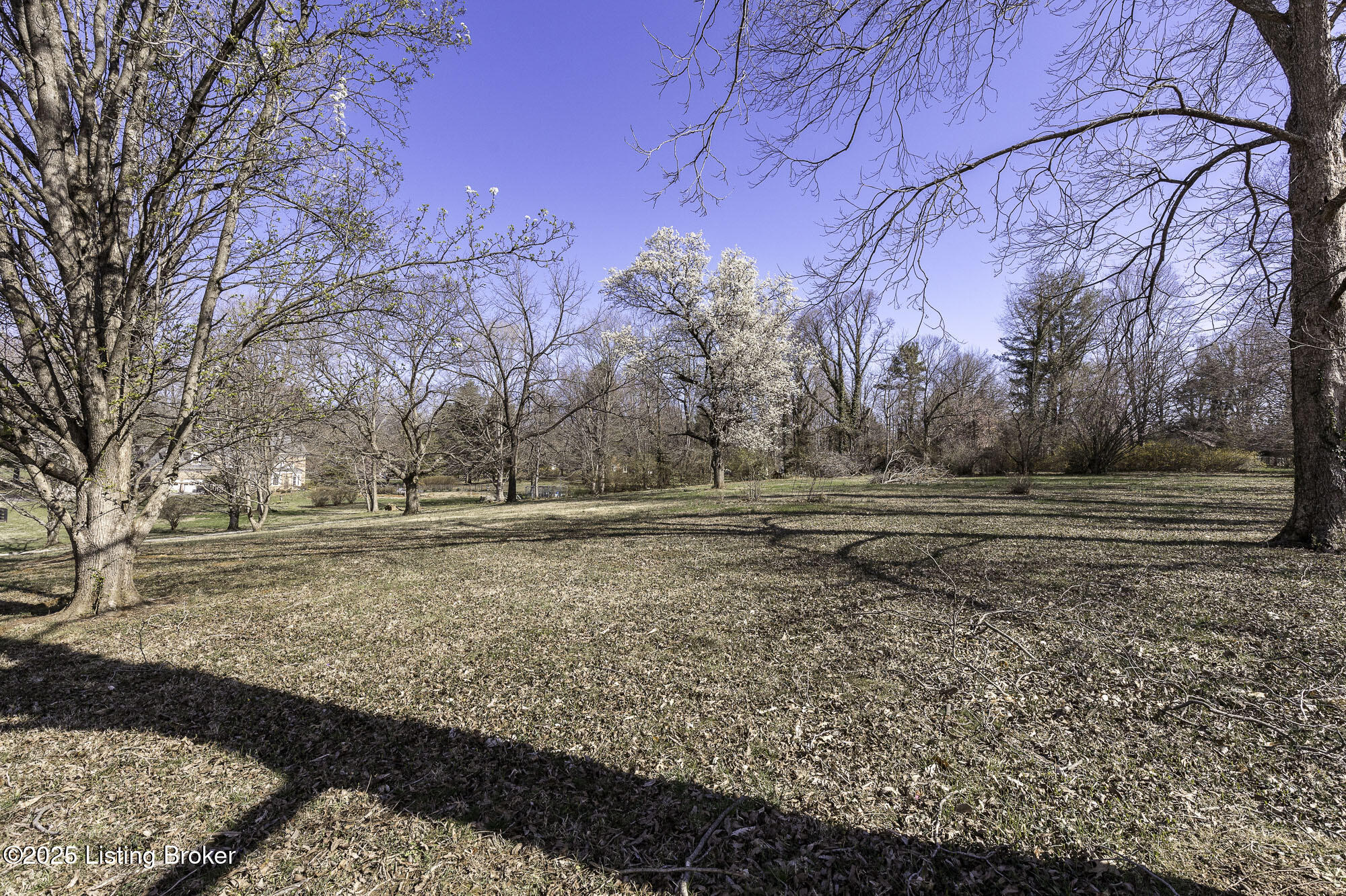 305 Ash Ave, Pewee Valley, Kentucky image 30
