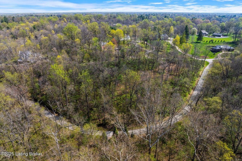 Photo of 3136 Blackberry Hill Rd, Glenview, KY 40025 (MLS # 1715178)